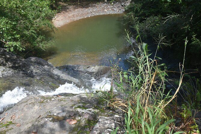 Puerto Rico Waterfall Hiking Tour: Discover Hidden Gems 2.0 - Frequently Asked Questions