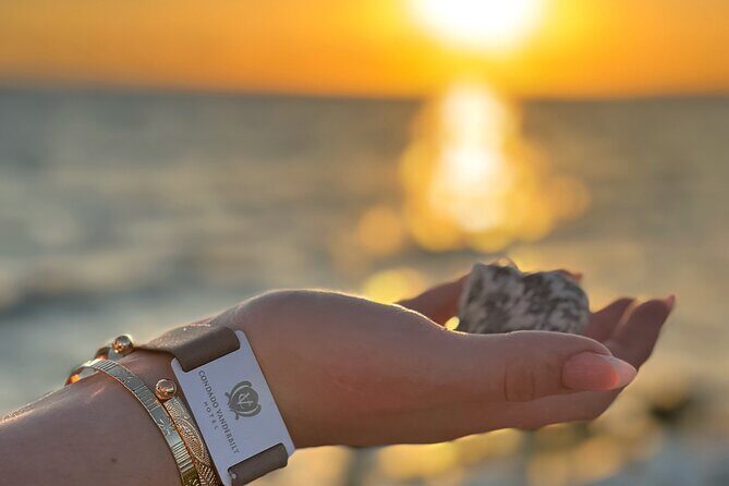 Puerto Rico's Only Private, VIP & Filmed Bio Bay Swim Experience - Overview of the Experience