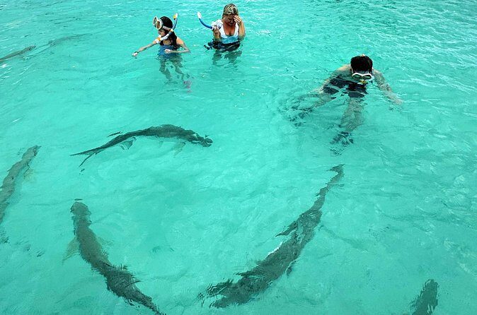 Puerto Rico's Only Private, VIP & Filmed Bio Bay Swim Experience - Authentic Insights from Experience Reviews