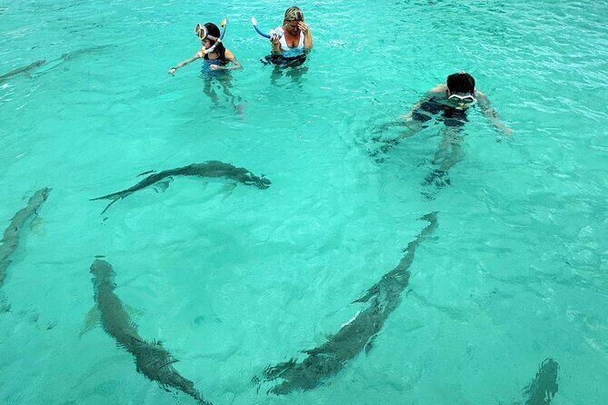 Puerto Rico's Only Private, VIP & Filmed Bio Bay Swim Experience - FAQ