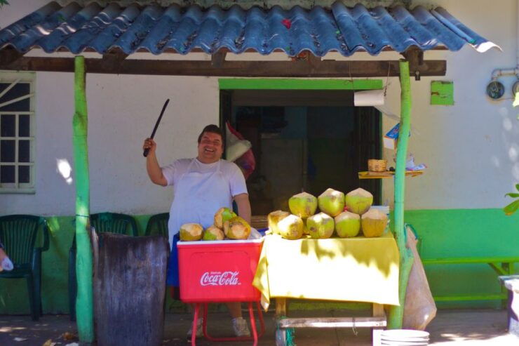 Puerto Vallarta 3-Hour Food Tour of Authentic Local Cuisine - Experience Highlights
