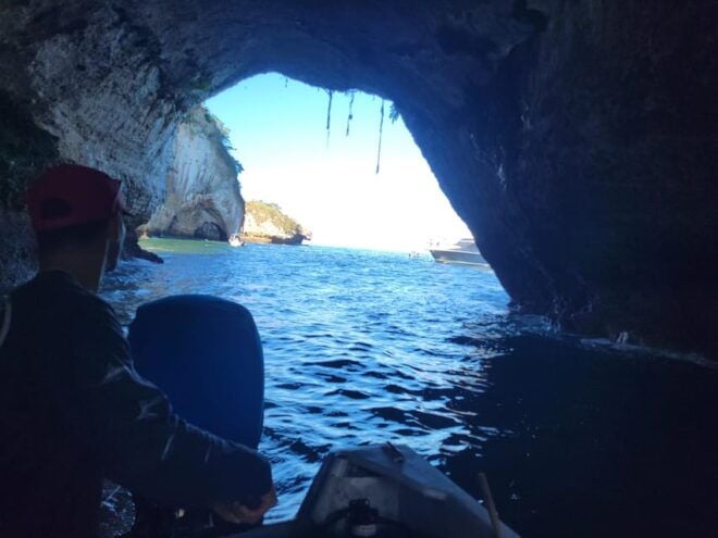 Puerto Vallarta: 3-Hour Whale Watching and Snorkeling - Local Flavors