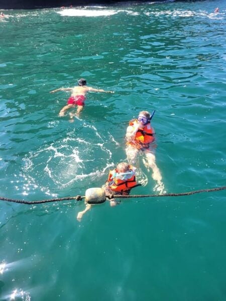 Puerto Vallarta: 3-Hour Whale Watching and Snorkeling - Inclusion Details