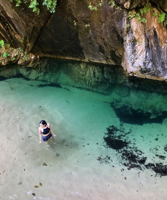 Puerto Vallarta: 4-Hour Jungle Hike and Waterfall Swim - Activity Details