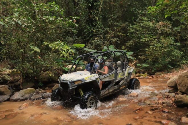 Puerto Vallarta: All Terrain Safari RZR Tour - Group Size and Language