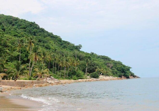 Puerto Vallarta: Arcos, Animas, Quimixto + Open Bar Onboard - Swimming at Las Animas
