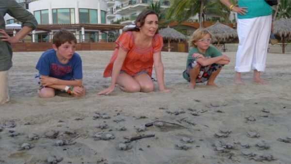Puerto Vallarta: Baby Sea Turtle Release - Language and Guidance