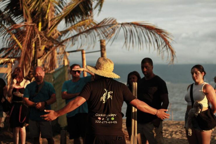 Puerto Vallarta: Baby Turtle Release in Conservation Area - Good To Know