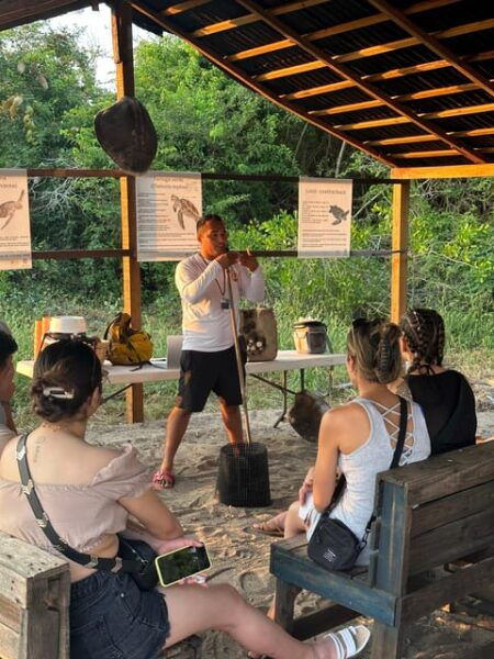 Puerto Vallarta: Baby Turtle Release in Conservation Area - Preparing for Your Visit