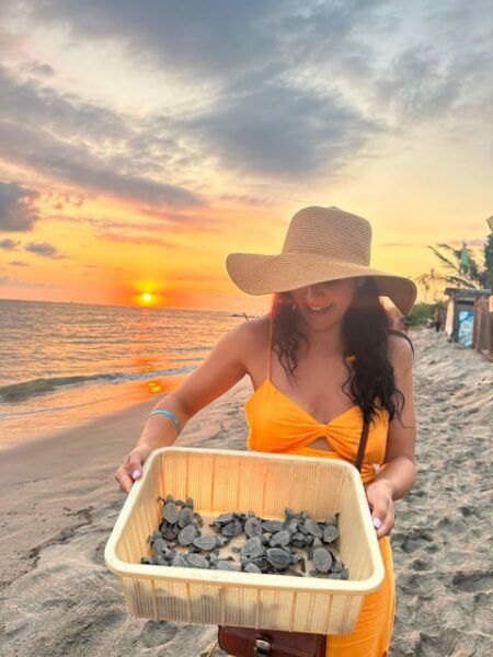 Puerto Vallarta: Baby Turtle Release in Conservation Area - Frequently Asked Questions