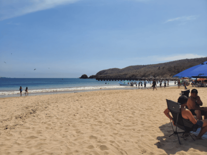 Puerto Vallarta: Beach Tour Experience - Agave Plant and Production