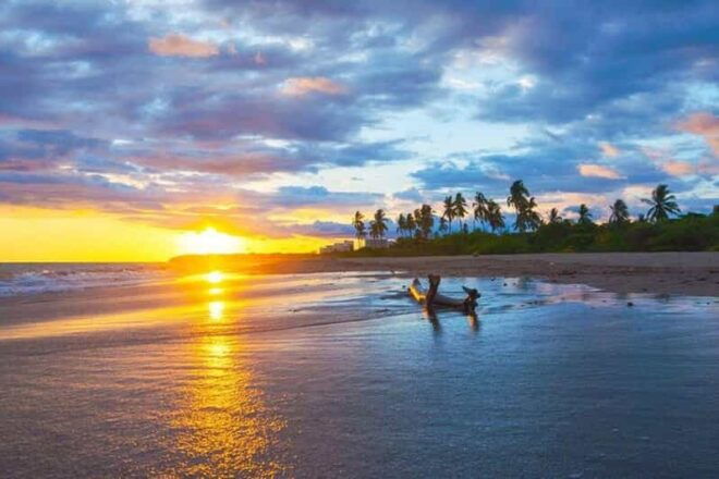 Puerto Vallarta: Beach Trip With Zarandeado Fish Meal - Flexible Reservations