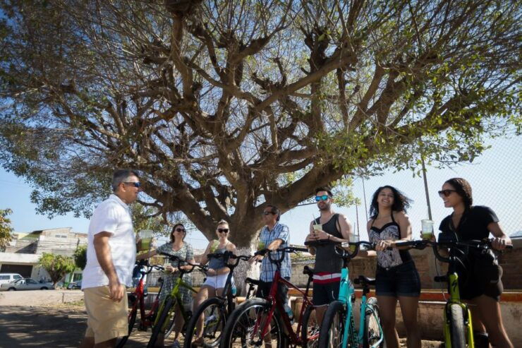 Puerto Vallarta: Bikes and Bites Tour - Experience Highlights
