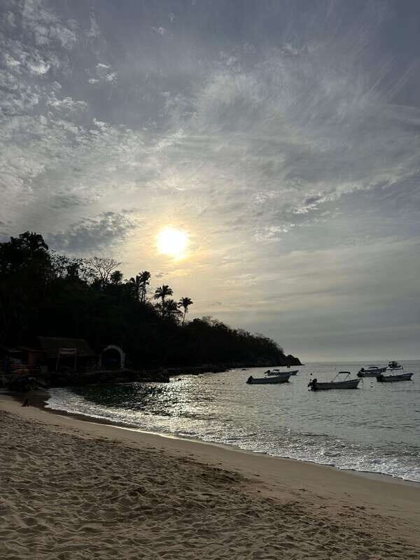Puerto Vallarta: Bioluminescence in Los Arcos Marine Park - Discovering Puerto Vallarta’s Bioluminescent Magic: A Complete Review