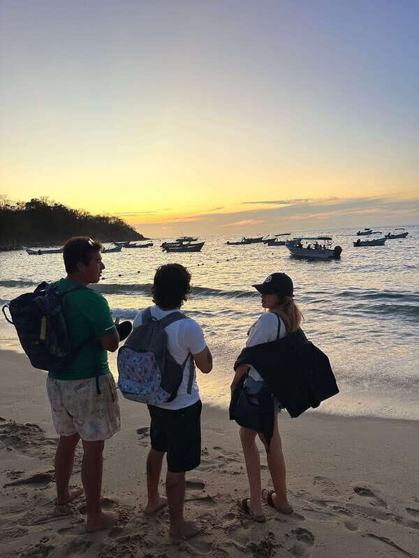 Puerto Vallarta: Bioluminescence in Los Arcos Marine Park - Deep Dive Into the Itinerary
