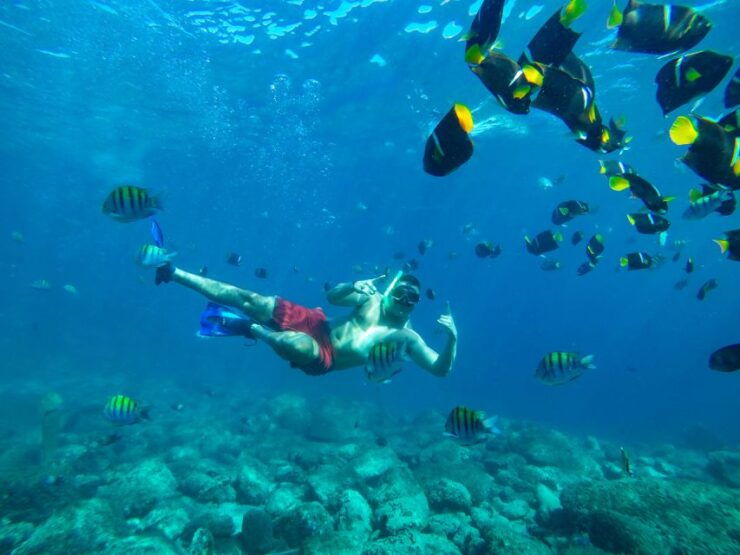 Puerto Vallarta: Boat Tour With Beach Stops & Horseback Ride - Activity Highlights