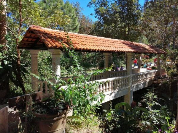 Puerto Vallarta: Botanical Gardens Tour & Culinary Adventure - What to Bring and Considerations