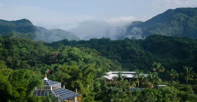 Puerto Vallarta: Botanical Gardens Tour & Culinary Adventure - Native Plants and Animals