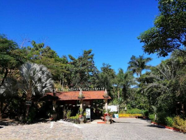 Puerto Vallarta: Botanical Gardens Tour & Culinary Adventure - Customer Reviews and Ratings