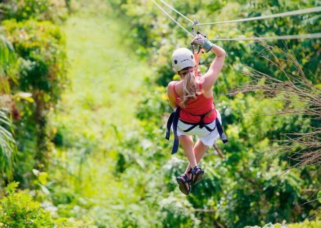Puerto Vallarta: Canopy Nogalito - Meeting Information
