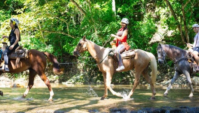 Puerto Vallarta: Canopy River, Mule Ride, Tequila Tour - Duration and Cancellation Policy