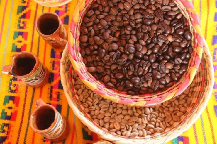 Puerto Vallarta: City Tour, Tequila and Coffee Factory Tour - Pickup Locations and Instructions