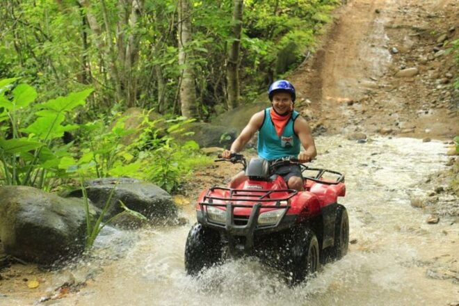 Puerto Vallarta: Combo Adventure ATV, Zipline and Mule Ride - Mule Ride in the Rainforest