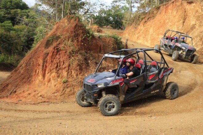 Puerto Vallarta: Combo Canopy River RZR, ZipLine and Mules - Mule Ride and Tequila Tasting