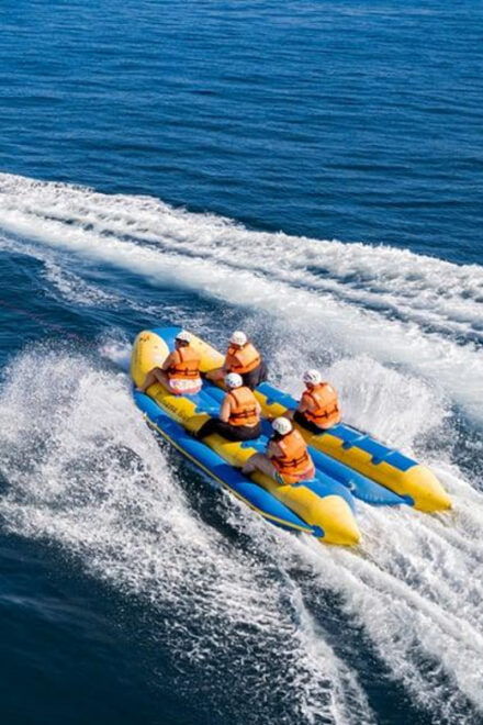 Puerto Vallarta: Combo Playa Caletas and Dolphins - Snorkeling in Crystal-Clear Waters