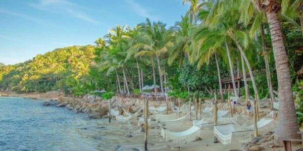 Puerto Vallarta: Combo Playa Caletas and Dolphins - Important Guidelines and Restrictions