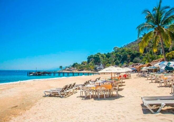Puerto Vallarta: Cruise, Breakfast, Lunch & Open Bar Onboard - Activities and Amenities