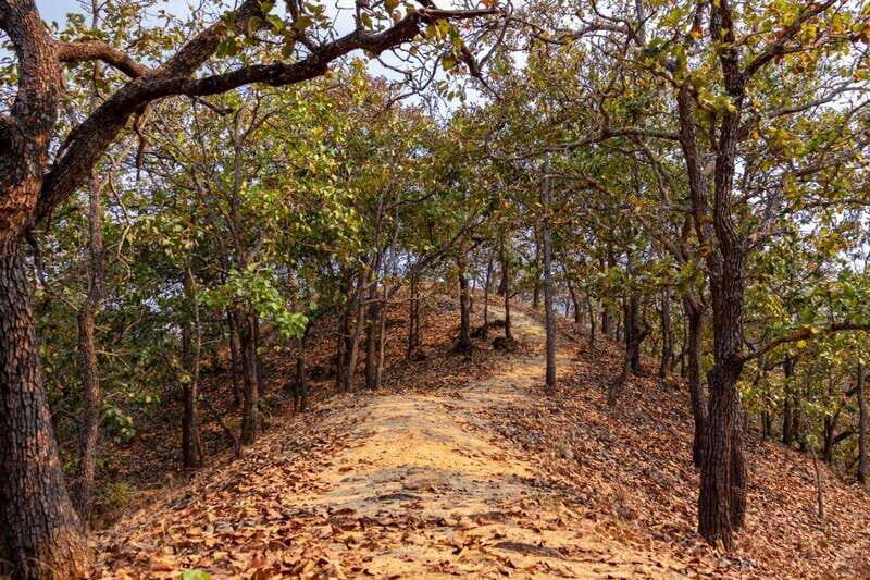 Puerto Vallarta: Day Pass to Jorullo Paradise Adventure - Who Is This Tour Best For?