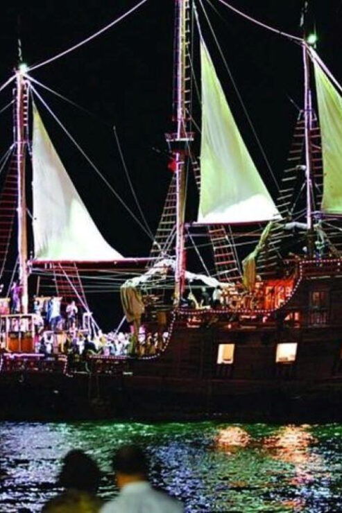 Puerto Vallarta: Dinner Under the Sea - Good To Know