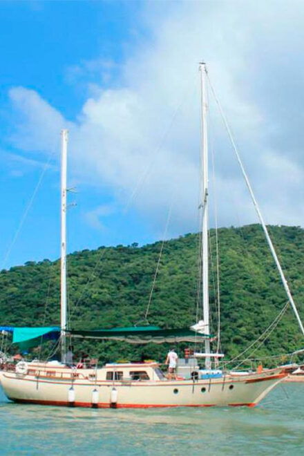 Puerto Vallarta: Discover Yelapa - Highlights of the Experience