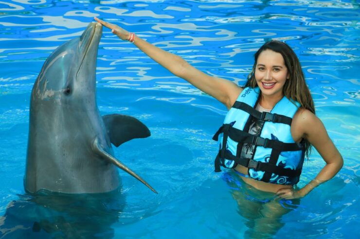 Puerto Vallarta: Dolphin Swimming and Aquaventuras Park - Experience Details
