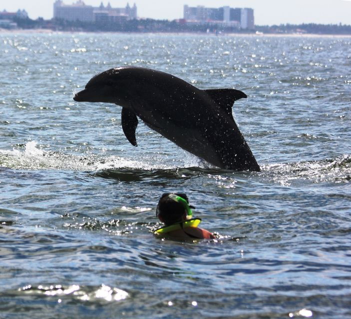 Puerto Vallarta: Dolphin Watching Cruise With a Biologist - Experience Highlights