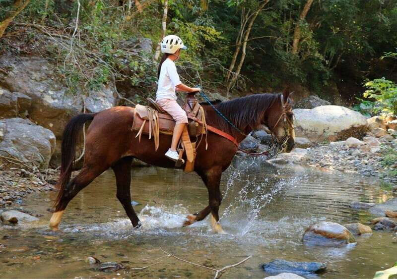 Puerto Vallarta: El Salto Waterfall Horseback Riding - Good To Know