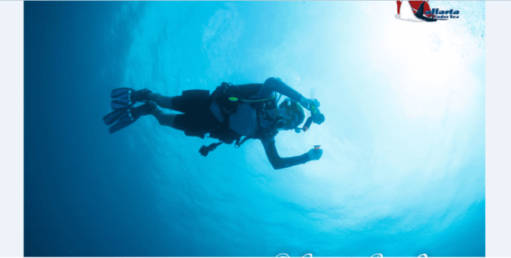 Puerto Vallarta: Exclusive Dive Adventure - Departure and Cancellation