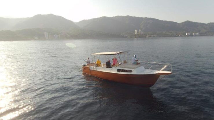 Puerto Vallarta: Exclusive Voyage to Los Arcos and El Paredón - Experience Highlights