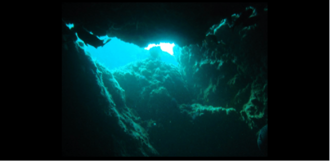 Puerto Vallarta: Exploring Majahuitas Underwater - Customizable Dive Depths