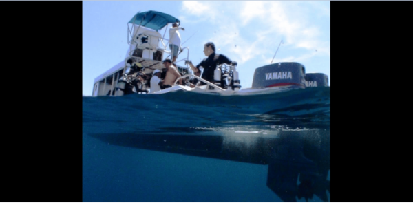 Puerto Vallarta: Exploring Majahuitas Underwater - Frequently Asked Questions