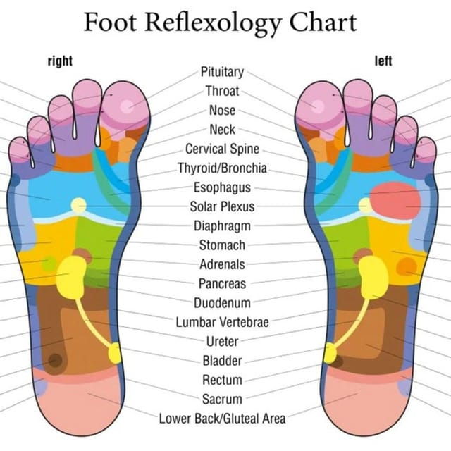 Puerto Vallarta: Foot Reflexology and Tired Legs Massage - Experience Highlights
