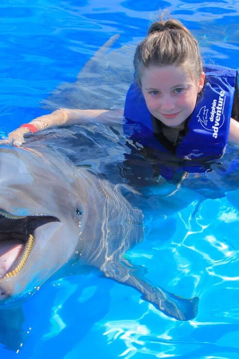 Puerto Vallarta: Fun Experience With Dolphins - Good To Know