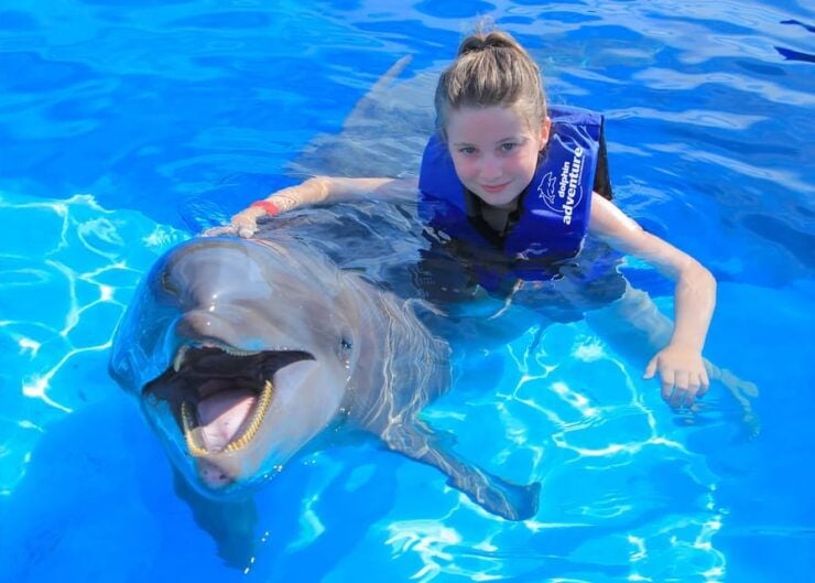 Puerto Vallarta: Fun Experience With Dolphins - Suitability and Age Requirements