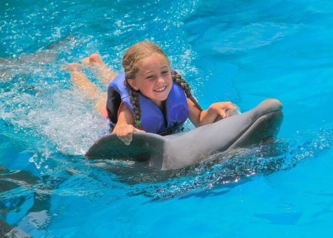Puerto Vallarta: Fun Experience With Dolphins - Meeting Time and Location