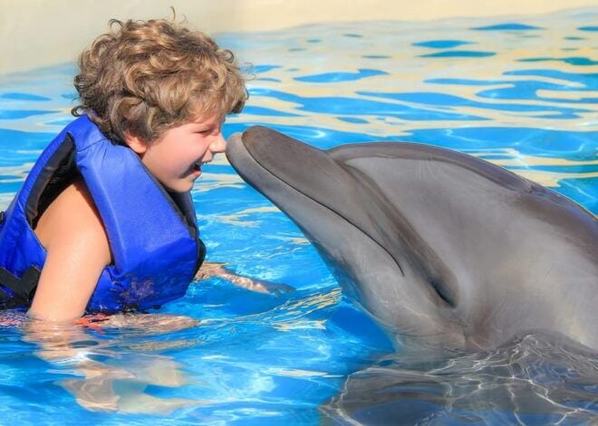 Puerto Vallarta: Fun Experience With Dolphins - Essentials to Bring