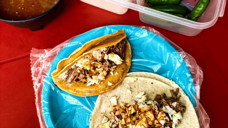 Puerto Vallarta: Half Day Taco and Ebike Tour - Itinerary Highlights