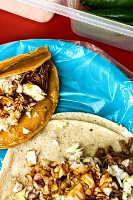 Puerto Vallarta: Half Day Taco and Ebike Tour - Meeting Information