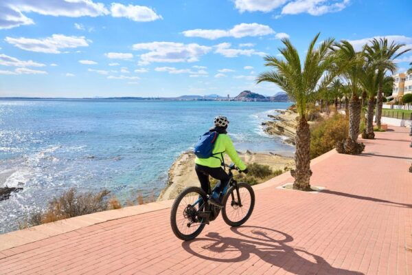 Puerto Vallarta: Half Day Taco and Ebike Tour - Cancellation Policy