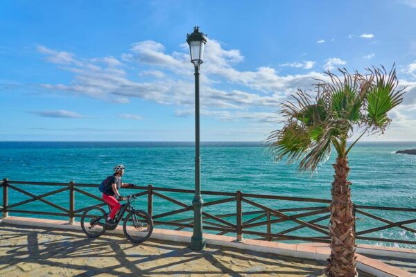 Puerto Vallarta: Half Day Taco and Ebike Tour - Pricing and Payment